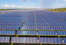 EDP completes 1.34-MWp PV plant for Brazilian Brametal