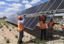 LONGi strengthens presence in Mexico with 191MW Pachamama PV power plant