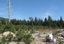 ZX Lidars excels at wind measurements in complex terrain